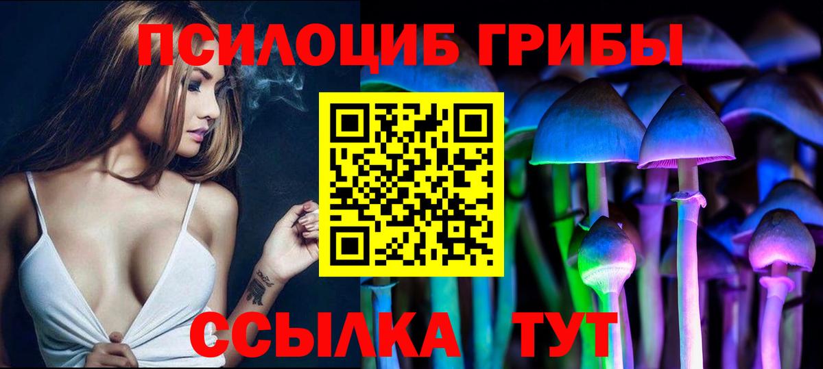 Галлюциногенные грибы прущие грибы Кольчугино