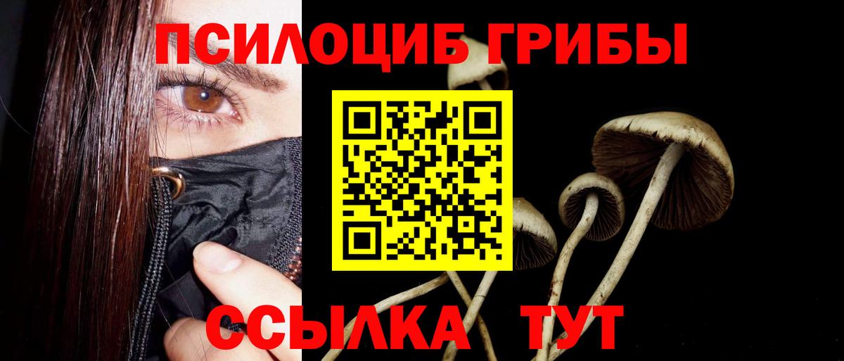 Псилоцибиновые грибы мухоморы  Вход с VPN  Кольчугино 