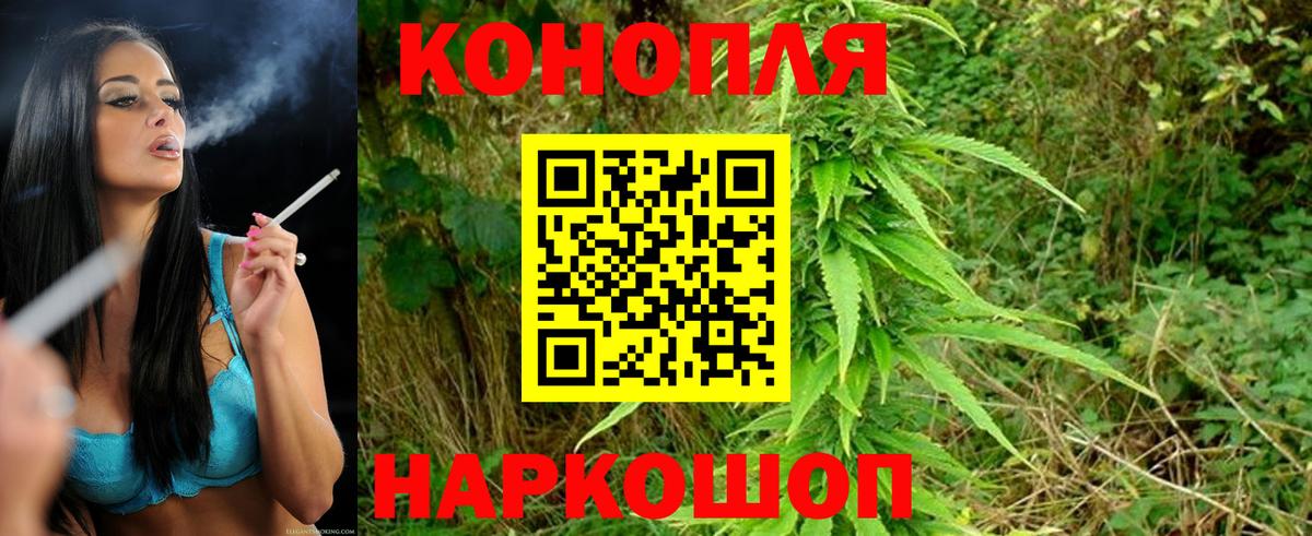 Бошки марихуана White Widow Кольчугино